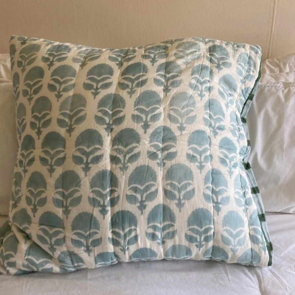 Anthropologie  Block Printed Euro Sham